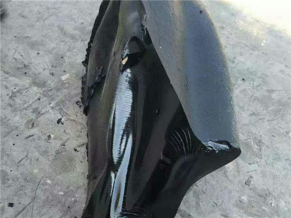 國標10#固體瀝青